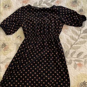 Everly Black and Brown polka dot Dress